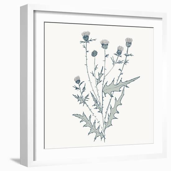 Friendly Fresh Thistle-Sweet Melody Designs-Framed Art Print