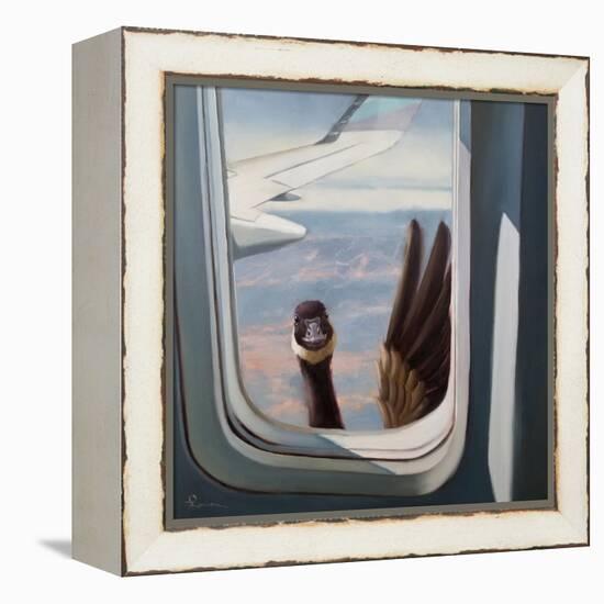 Friendly Skies-Lucia Heffernan-Framed Stretched Canvas