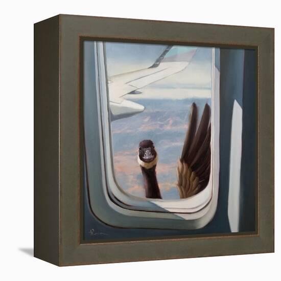 Friendly Skies-Lucia Heffernan-Framed Stretched Canvas