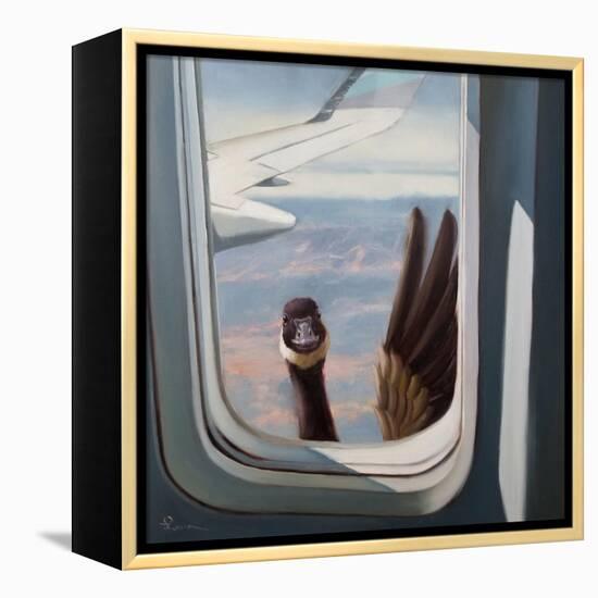 Friendly Skies-Lucia Heffernan-Framed Stretched Canvas