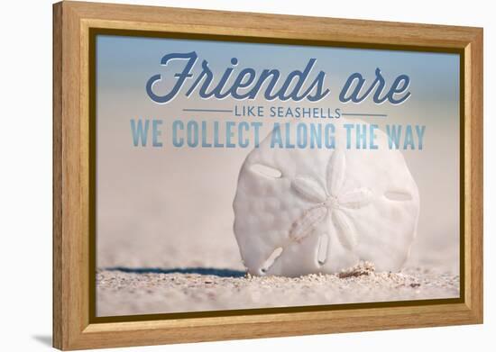 Friends are Like Seashells - Sand Dollar-Lantern Press-Framed Stretched Canvas