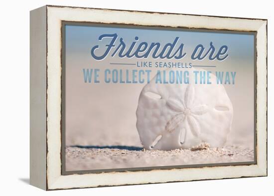 Friends are Like Seashells - Sand Dollar-Lantern Press-Framed Stretched Canvas
