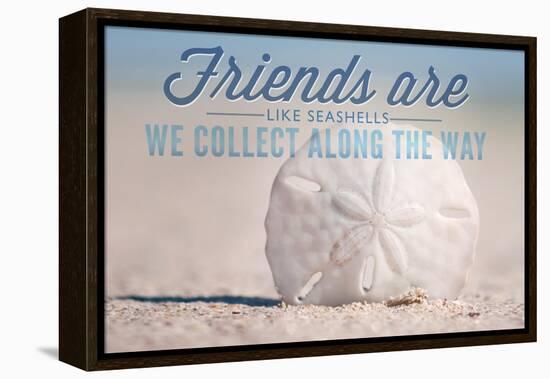 Friends are Like Seashells - Sand Dollar-Lantern Press-Framed Stretched Canvas