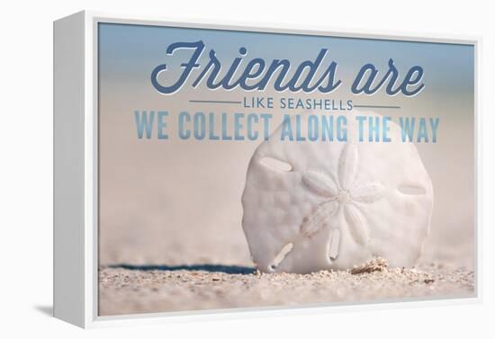 Friends are Like Seashells - Sand Dollar-Lantern Press-Framed Stretched Canvas