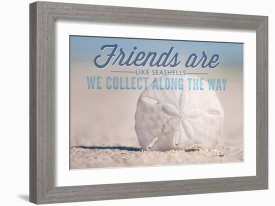 Friends are Like Seashells - Sand Dollar-Lantern Press-Framed Art Print