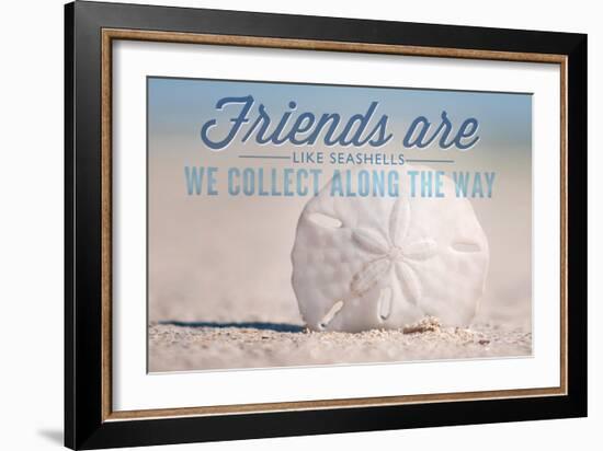 Friends are Like Seashells - Sand Dollar-Lantern Press-Framed Art Print