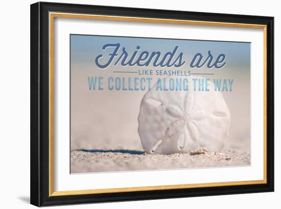 Friends are Like Seashells - Sand Dollar-Lantern Press-Framed Art Print