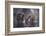 Friends-Takeshi Marumoto-Framed Photographic Print