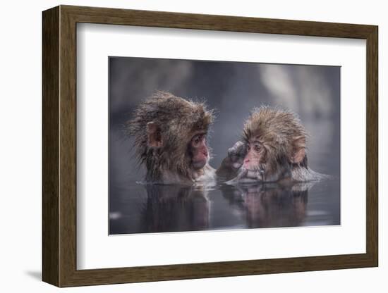 Friends-Takeshi Marumoto-Framed Photographic Print