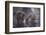 Friends-Takeshi Marumoto-Framed Photographic Print