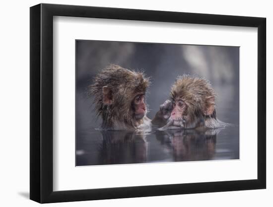 Friends-Takeshi Marumoto-Framed Photographic Print