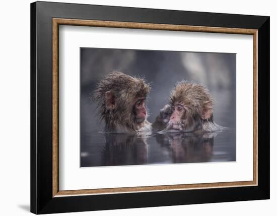 Friends-Takeshi Marumoto-Framed Photographic Print