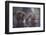 Friends-Takeshi Marumoto-Framed Photographic Print