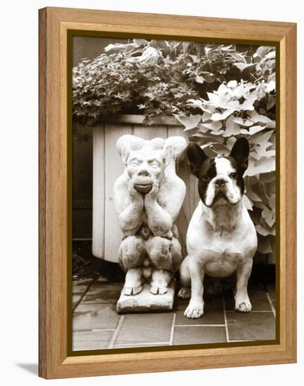 Friends-Jim Dratfield-Framed Stretched Canvas