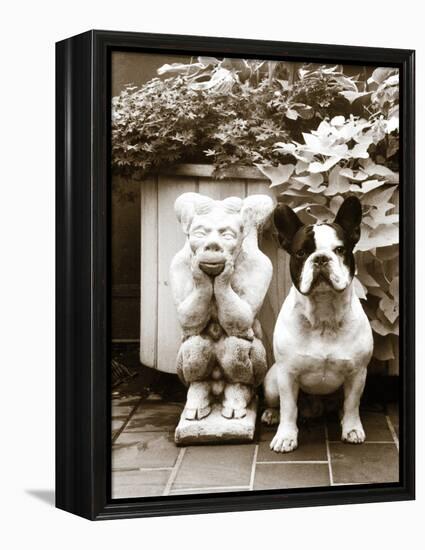 Friends-Jim Dratfield-Framed Stretched Canvas