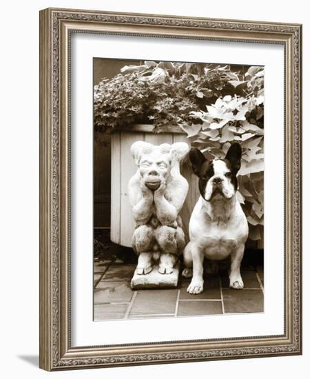 Friends-Jim Dratfield-Framed Photo