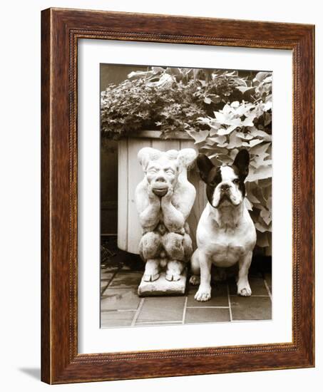 Friends-Jim Dratfield-Framed Photo