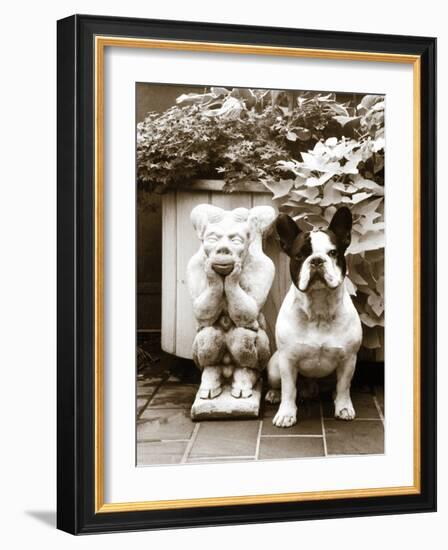 Friends-Jim Dratfield-Framed Photo