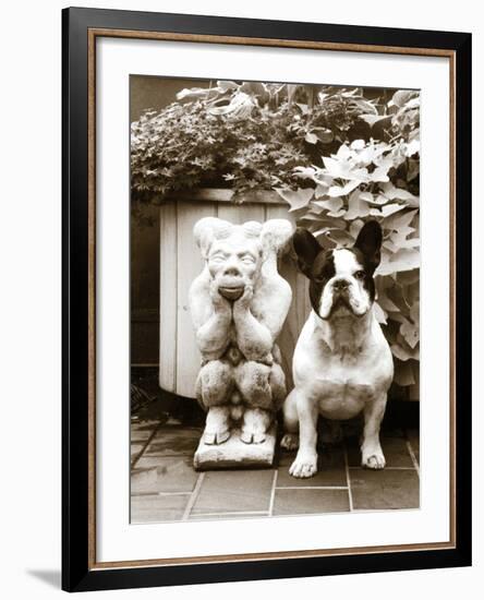 Friends-Jim Dratfield-Framed Photo