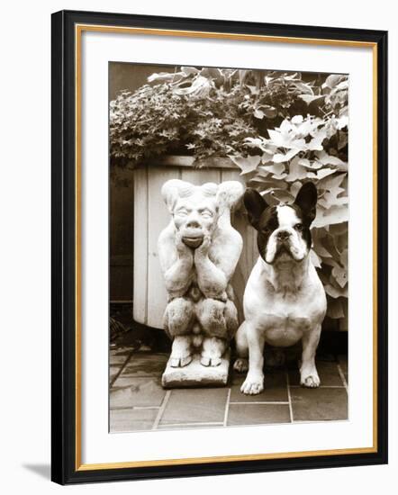 Friends-Jim Dratfield-Framed Photo