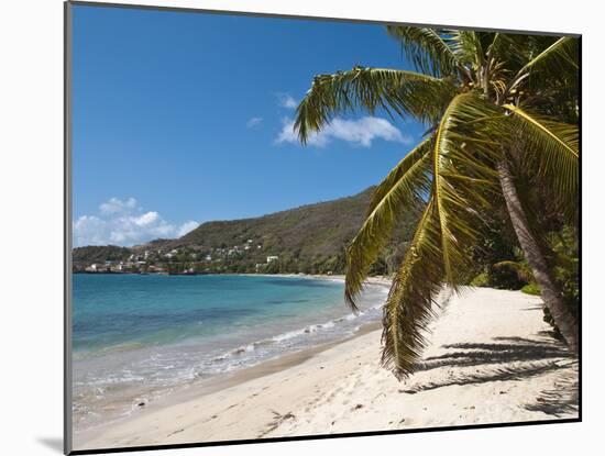 Friendship Bay Beach, Bequia, St. Vincent and the Grenadines, Windward Islands, West Indies-Michael DeFreitas-Mounted Photographic Print