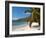 Friendship Bay Beach, Bequia, St. Vincent and the Grenadines, Windward Islands, West Indies-Michael DeFreitas-Framed Photographic Print