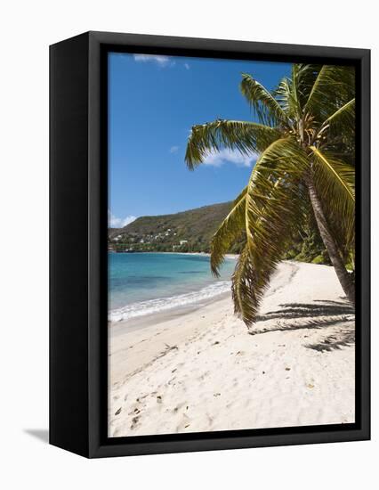 Friendship Bay Beach, Bequia, St. Vincent and the Grenadines, Windward Islands, West Indies-Michael DeFreitas-Framed Premier Image Canvas