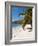 Friendship Bay Beach, Bequia, St. Vincent and the Grenadines, Windward Islands, West Indies-Michael DeFreitas-Framed Photographic Print