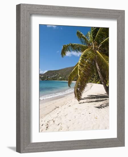 Friendship Bay Beach, Bequia, St. Vincent and the Grenadines, Windward Islands, West Indies-Michael DeFreitas-Framed Photographic Print