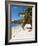 Friendship Bay Beach, Bequia, St. Vincent and the Grenadines, Windward Islands, West Indies-Michael DeFreitas-Framed Photographic Print