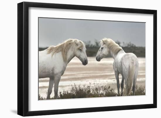 Friendship-Jorge Llovet-Framed Giclee Print