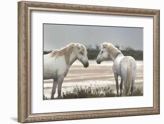 Friendship-Jorge Llovet-Framed Giclee Print