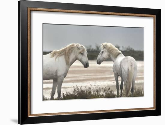 Friendship-Jorge Llovet-Framed Giclee Print