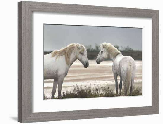 Friendship-Jorge Llovet-Framed Giclee Print