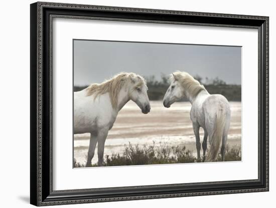 Friendship-Jorge Llovet-Framed Giclee Print