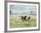 Friesen Cow Standing in Pasture-Ashley Cooper-Framed Photographic Print