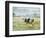Friesen Cow Standing in Pasture-Ashley Cooper-Framed Photographic Print