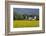 Friesenhof' Behind a Rape Field at 'Bob Terp' (Street) in Archsum (Village) on the Island of Sylt-Uwe Steffens-Framed Photographic Print