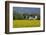 Friesenhof' Behind a Rape Field at 'Bob Terp' (Street) in Archsum (Village) on the Island of Sylt-Uwe Steffens-Framed Photographic Print