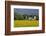 Friesenhof' Behind a Rape Field at 'Bob Terp' (Street) in Archsum (Village) on the Island of Sylt-Uwe Steffens-Framed Photographic Print