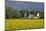 Friesenhof' Behind a Rape Field at 'Bob Terp' (Street) in Archsum (Village) on the Island of Sylt-Uwe Steffens-Mounted Photographic Print