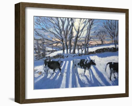 Friesian Cows, 2009-Andrew Macara-Framed Giclee Print