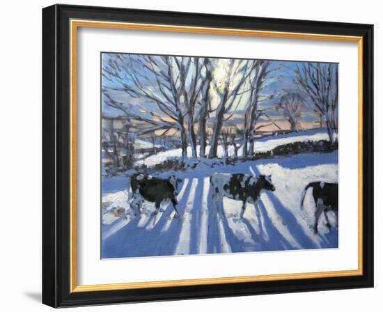 Friesian Cows, 2009-Andrew Macara-Framed Giclee Print