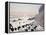 Friesians in Winter-Maggie Rowe-Framed Premier Image Canvas