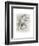 Frieze Study I-Ethan Harper-Framed Art Print