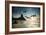 Frigatebirds, Fregata Magnificens, on Praia Da Conceicao-Alex Saberi-Framed Photographic Print