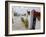 Frigiliana, Costa Del Sol, Andalucia, Spain, Europe-Charles Bowman-Framed Photographic Print