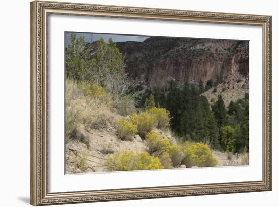 Frijoles Canyon, Bandelier National Monument, New Mexico-null-Framed Photographic Print