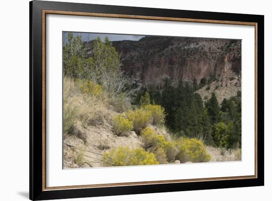 Frijoles Canyon, Bandelier National Monument, New Mexico-null-Framed Photographic Print