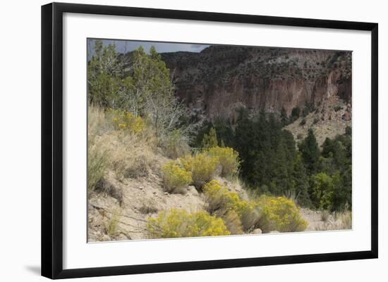 Frijoles Canyon, Bandelier National Monument, New Mexico-null-Framed Photographic Print